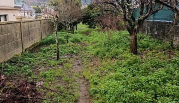 Finca Boiro.jpg